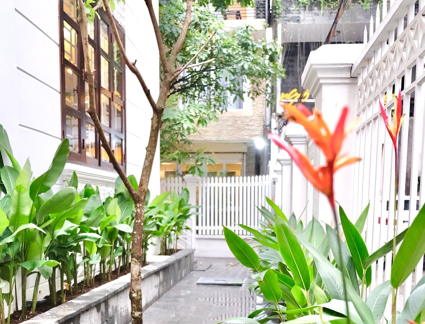 Vườn