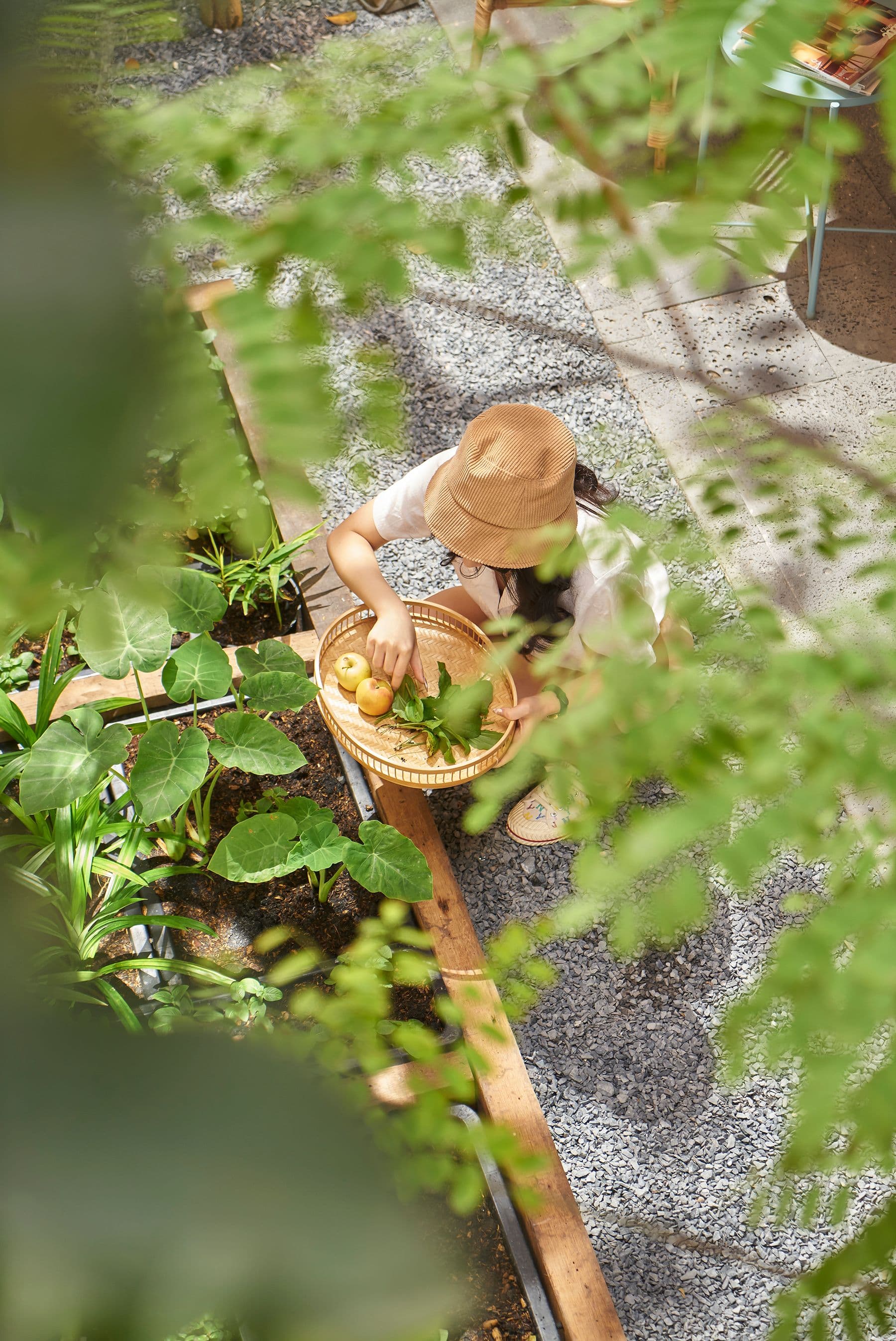 Sân vườn